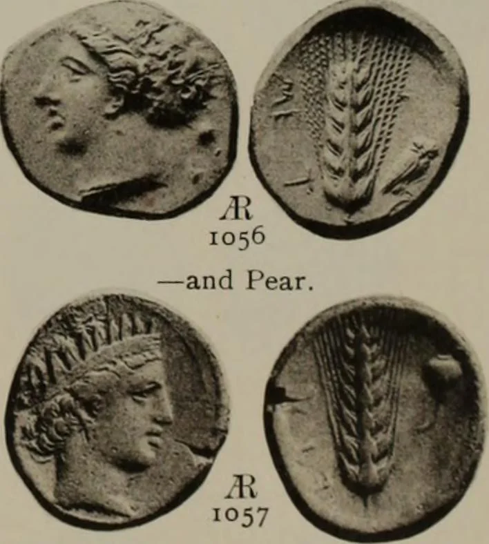 An illustration from Numismata graeca; Greek coin-types, classified for immediate identification, 1910, leaf 620