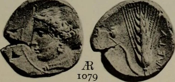 An illustration from Numismata graeca; Greek coin-types, classified for immediate identification, 1910, leaf 622