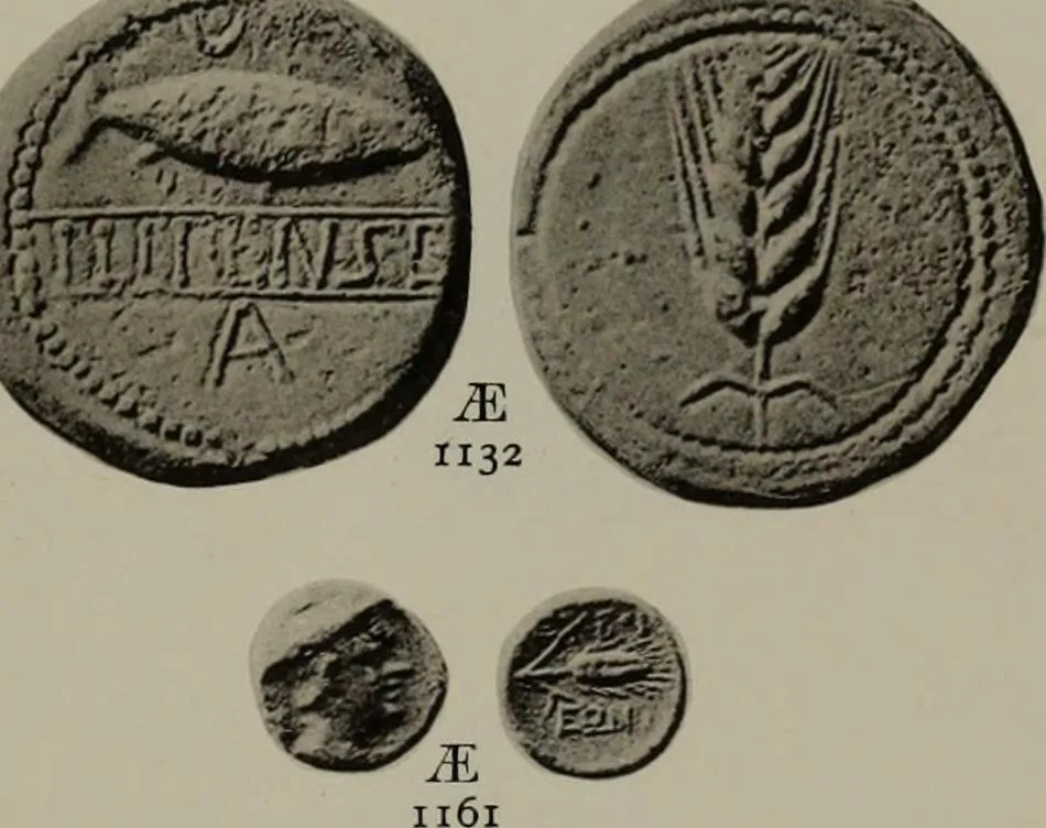 An illustration from Numismata graeca; Greek coin-types, classified for immediate identification, 1910, leaf 622