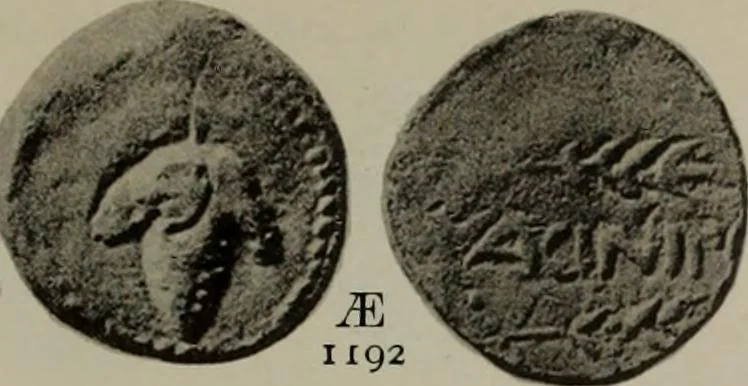 An illustration from Numismata graeca; Greek coin-types, classified for immediate identification, 1910, leaf 624