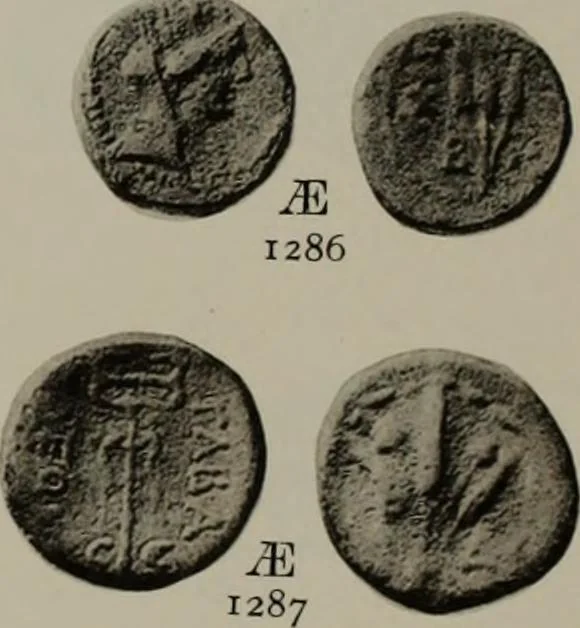 An illustration from Numismata graeca; Greek coin-types, classified for immediate identification, 1910, leaf 624
