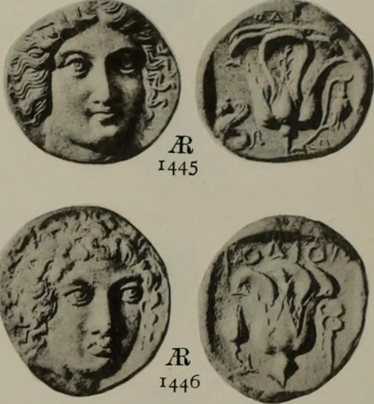 An illustration from Numismata graeca; Greek coin-types, classified for immediate identification, 1910, leaf 628