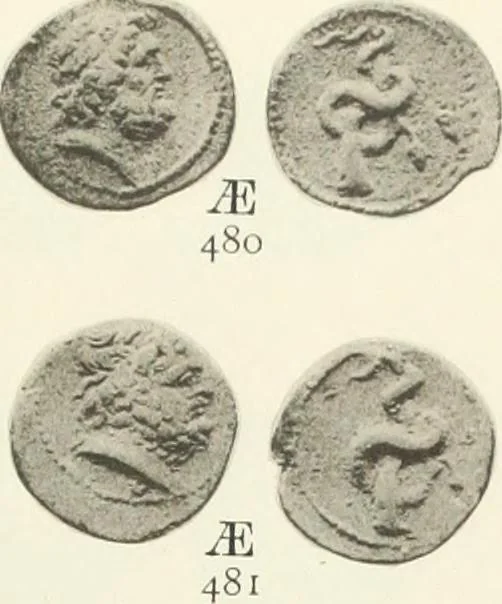 An illustration from Numismata graeca; Greek coin-types, classified for immediate identification, 1910, leaf 142