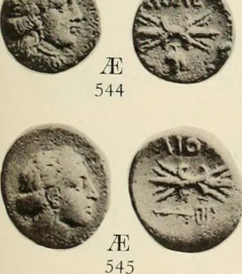 An illustration from Numismata graeca; Greek coin-types, classified for immediate identification, 1910, leaf 144
