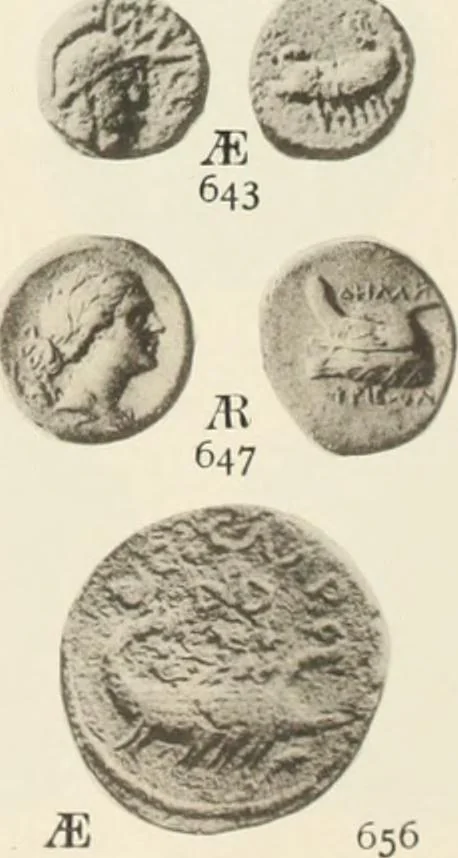 An illustration from Numismata graeca; Greek coin-types, classified for immediate identification, 1910, leaf 364