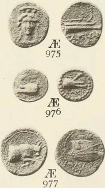 An illustration from Numismata graeca; Greek coin-types, classified for immediate identification, 1910, leaf 376