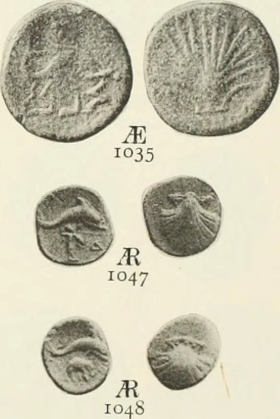 An illustration from Numismata graeca; Greek coin-types, classified for immediate identification, 1910, leaf 378