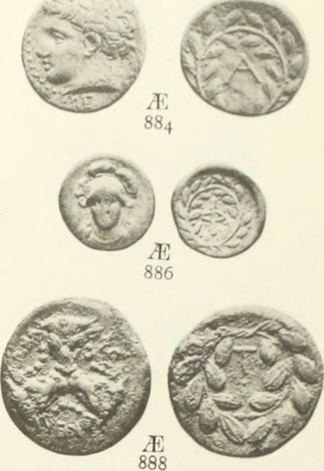An illustration from Numismata graeca; Greek coin-types, classified for immediate identification, 1910, leaf 574