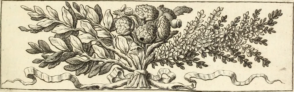 An illustration from Numismata imperatorum romanorum praestantiora a Julio Caesare ad Postumum usque per Joannem Vaillant, 1743, leaf 32