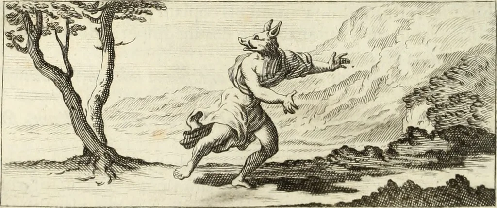 An illustration from Numismata imperatorum romanorum praestantiora a Julio Caesare ad Postumum usque per Joannem Vaillant, 1743, leaf 167