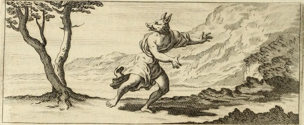 An illustration from Numismata imperatorum romanorum praestantiora a Julio Caesare ad Postumum usque per Joannem Vaillant, 1743, leaf 303