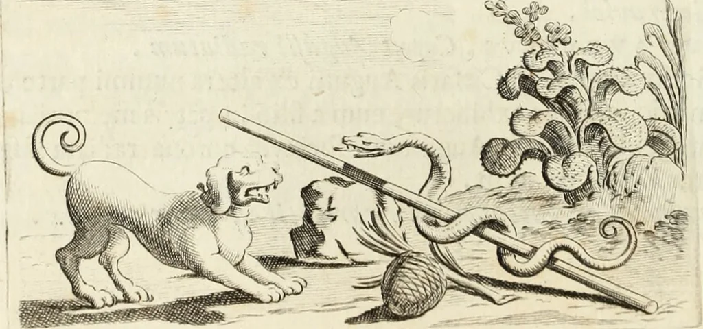 An illustration from Numismata imperatorum romanorum praestantiora a Julio Caesare ad Postumum usque per Joannem Vaillant, 1743, leaf 59
