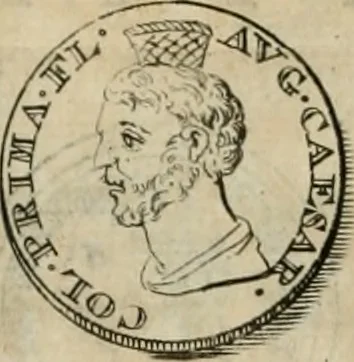 An illustration from Numismata ærea imperatorum, augustarum, et cæsarum, in coloniis, municilpiis, et urbibus jure latio donatis, ex omni modulo percussa, 1695, leaf 163