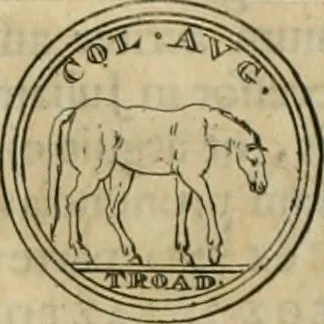 An illustration from Numismata ærea imperatorum, augustarum, et cæsarum, in coloniis, municilpiis, et urbibus jure latio donatis, ex omni modulo percussa, 1695, leaf 246