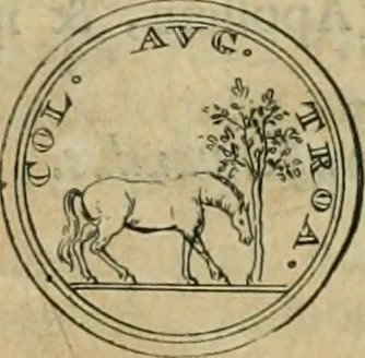 An illustration from Numismata ærea imperatorum, augustarum, et cæsarum, in coloniis, municilpiis, et urbibus jure latio donatis, ex omni modulo percussa, 1695, leaf 246