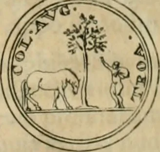 An illustration from Numismata ærea imperatorum, augustarum, et cæsarum, in coloniis, municilpiis, et urbibus jure latio donatis, ex omni modulo percussa, 1695, leaf 246