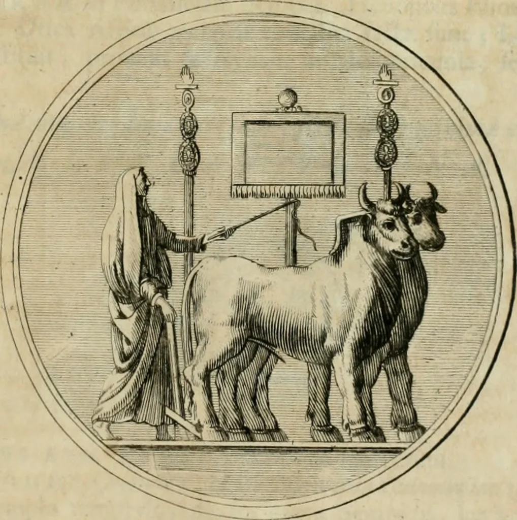An illustration from Numismata ærea imperatorum, augustarum, et cæsarum, in coloniis, municilpiis, et urbibus jure latio donatis, ex omni modulo percussa, 1695, leaf 270