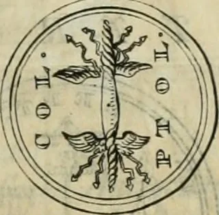 An illustration from Numismata ærea imperatorum, augustarum, et cæsarum, in coloniis, municilpiis, et urbibus jure latio donatis, ex omni modulo percussa, 1695, leaf 284