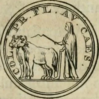 An illustration from Numismata ærea imperatorum, augustarum, et cæsarum, in coloniis, municilpiis, et urbibus jure latio donatis, ex omni modulo percussa, 1695, leaf 332