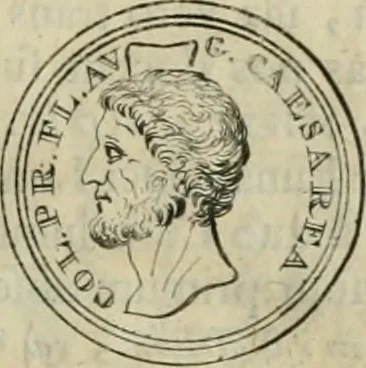 An illustration from Numismata ærea imperatorum, augustarum, et cæsarum, in coloniis, municilpiis, et urbibus jure latio donatis, ex omni modulo percussa, 1695, leaf 346