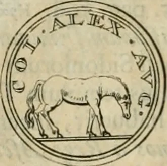 An illustration from Numismata ærea imperatorum, augustarum, et cæsarum, in coloniis, municilpiis, et urbibus jure latio donatis, ex omni modulo percussa, 1695, leaf 367