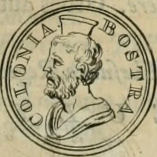 An illustration from Numismata ærea imperatorum, augustarum, et cæsarum, in coloniis, municilpiis, et urbibus jure latio donatis, ex omni modulo percussa, 1695, leaf 398