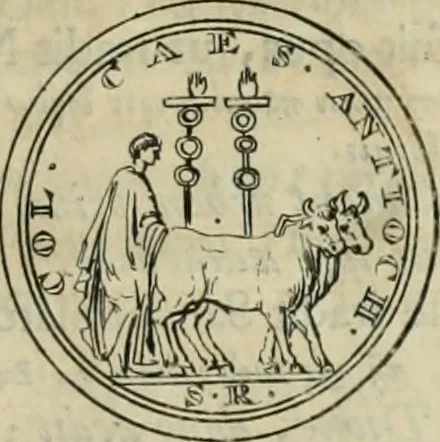 An illustration from Numismata ærea imperatorum, augustarum, et cæsarum, in coloniis, municilpiis, et urbibus jure latio donatis, ex omni modulo percussa, 1695, leaf 408