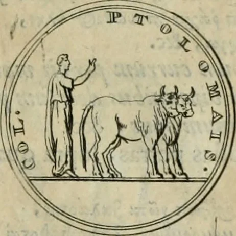 An illustration from Numismata ærea imperatorum, augustarum, et cæsarum, in coloniis, municilpiis, et urbibus jure latio donatis, ex omni modulo percussa, 1695, leaf 442