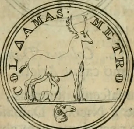 An illustration from Numismata ærea imperatorum, augustarum, et cæsarum, in coloniis, municilpiis, et urbibus jure latio donatis, ex omni modulo percussa, 1695, leaf 448