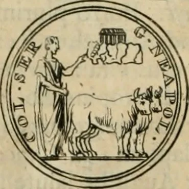 An illustration from Numismata ærea imperatorum, augustarum, et cæsarum, in coloniis, municilpiis, et urbibus jure latio donatis, ex omni modulo percussa, 1695, leaf 451