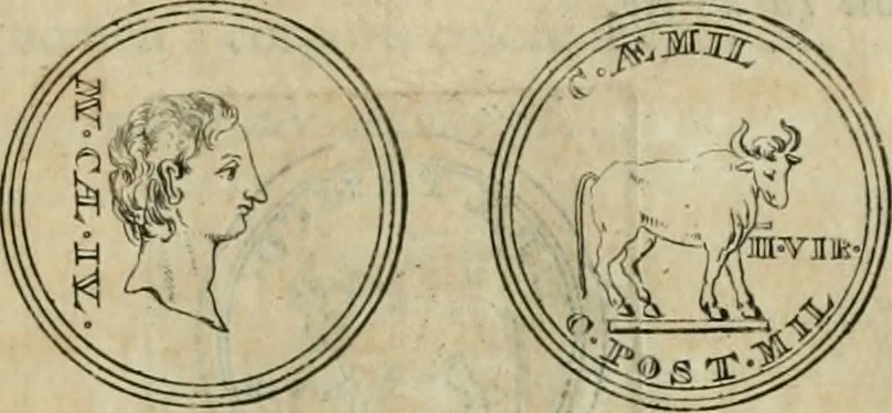 An illustration from Numismata ærea imperatorum, augustarum, et cæsarum, in coloniis, municilpiis, et urbibus jure latio donatis, ex omni modulo percussa, 1695, leaf 46