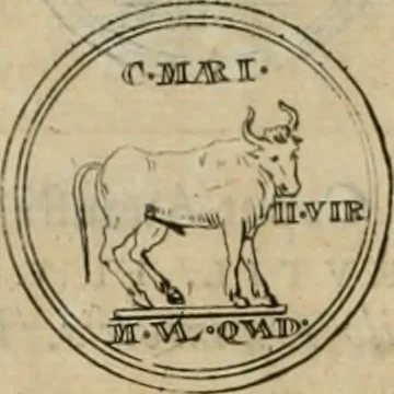 An illustration from Numismata ærea imperatorum, augustarum, et cæsarum, in coloniis, municilpiis, et urbibus jure latio donatis, ex omni modulo percussa, 1695, leaf 49