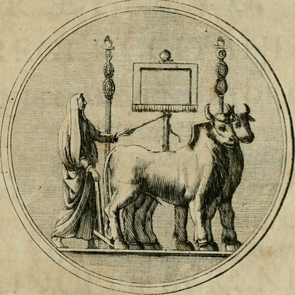 An illustration from Numismata ærea imperatorum, augustarum, et cæsarum, in coloniis, municilpiis, et urbibus jure latio donatis, ex omni modulo percussa, 1695, leaf 6