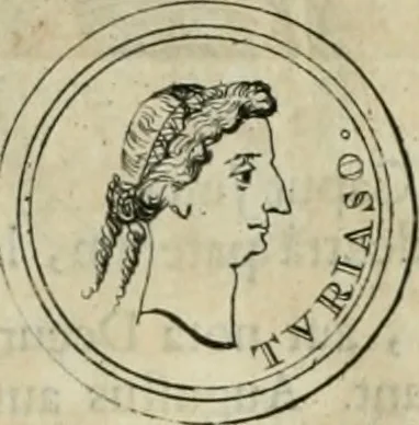 An illustration from Numismata ærea imperatorum, augustarum, et cæsarum, in coloniis, municilpiis, et urbibus jure latio donatis, ex omni modulo percussa, 1695, leaf 78