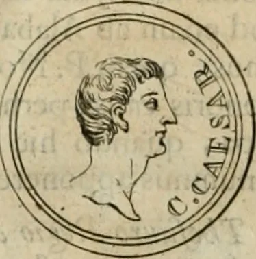 An illustration from Numismata ærea imperatorum, augustarum, et cæsarum, in coloniis, municilpiis, et urbibus jure latio donatis, ex omni modulo percussa, 1695, leaf 83