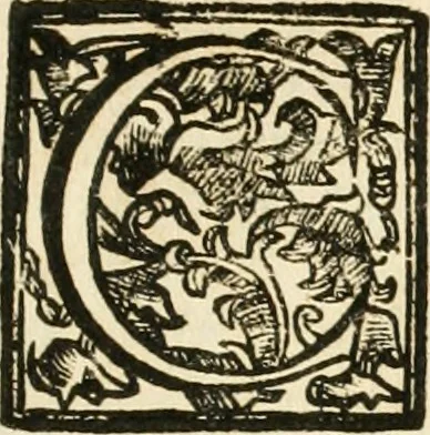 An illustration from Numismata summorum pontificum Templi Vaticani fabricam indicantia, chronologica ejusdem fabricae narratione ac multiplici eruditione explicata. Atque uberiori numismatum omnium pontificiorum lucubrationi veluti prodromus praemissa, 1700, leaf 12