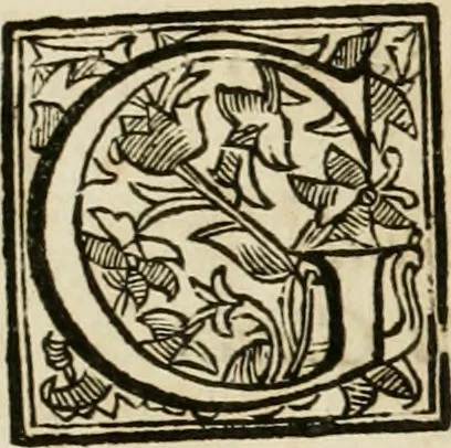 An illustration from Numismata summorum pontificum Templi Vaticani fabricam indicantia, chronologica ejusdem fabricae narratione ac multiplici eruditione explicata. Atque uberiori numismatum omnium pontificiorum lucubrationi veluti prodromus praemissa, 1700, leaf 13