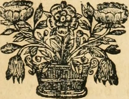 An illustration from Numismata summorum pontificum Templi Vaticani fabricam indicantia, chronologica ejusdem fabricae narratione ac multiplici eruditione explicata. Atque uberiori numismatum omnium pontificiorum lucubrationi veluti prodromus praemissa, 1700, leaf 14