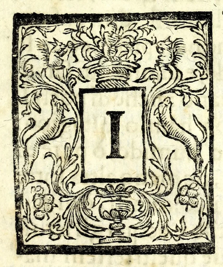An illustration from Nuoua architettura dell' agrimensura di terre, et acque, 1672, leaf 17