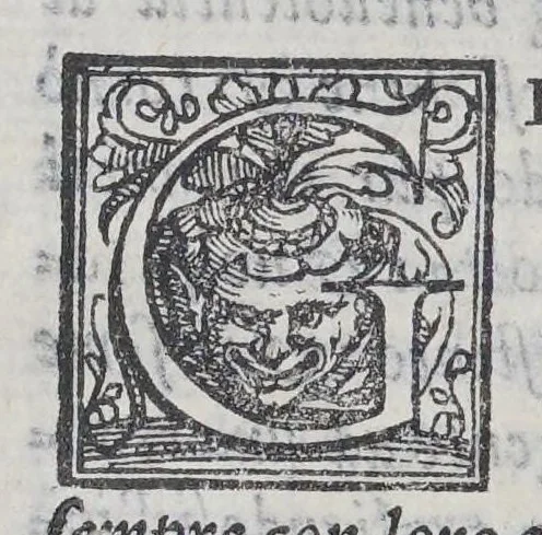 An illustration from Nuoui auisi dell'Indie di Portogallo, riceuuti dalli reuerendi padri della Compagnia di Giesu,, 1568, leaf 126
