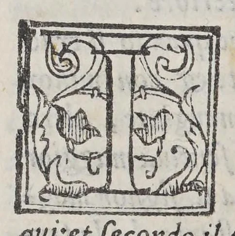 An illustration from Nuoui auisi dell'Indie di Portogallo, riceuuti dalli reuerendi padri della Compagnia di Giesu,, 1568, leaf 40