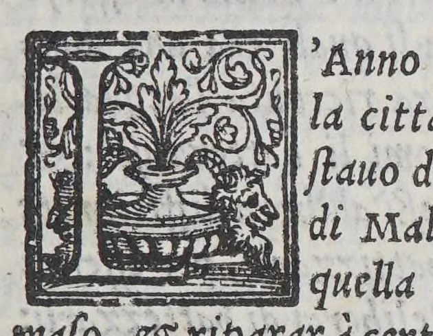 An illustration from Nuoui auisi dell'Indie di Portogallo, riceuuti dalli reuerendi padri della Compagnia di Giesu,, 1568, leaf 85