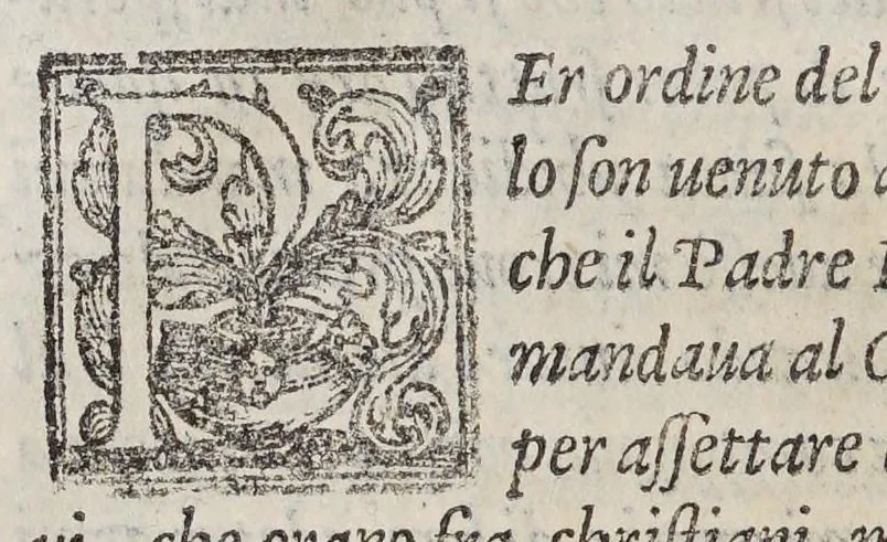 An illustration from Nuoui auisi dell'Indie di Portogallo, riceuuti dalli reuerendi padri della Compagnia di Giesu,, 1559, leaf 118