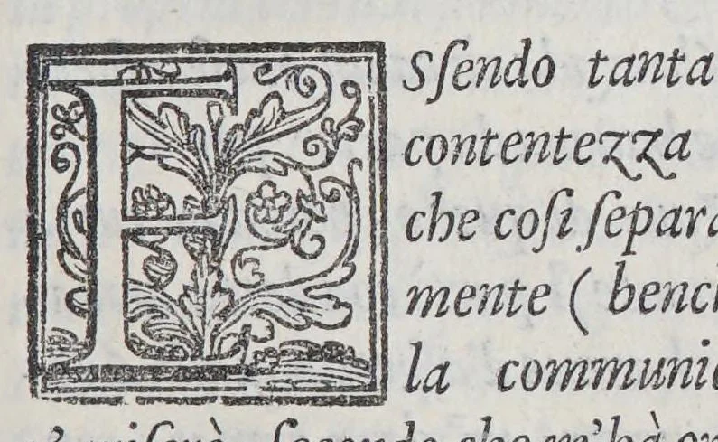 An illustration from Nuoui auisi dell'Indie di Portogallo, riceuuti dalli reuerendi padri della Compagnia di Giesu,, 1559, leaf 13