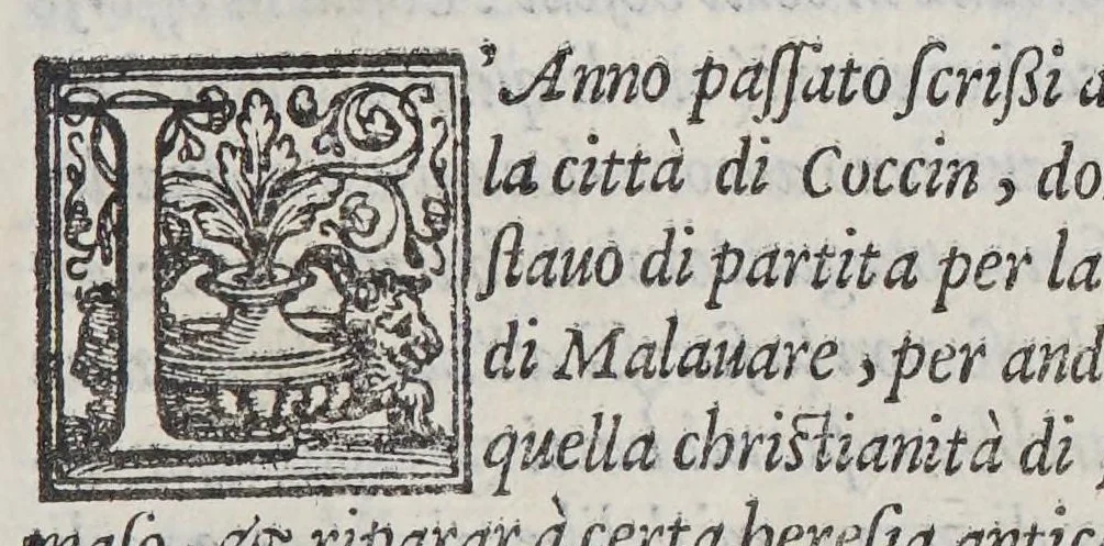 An illustration from Nuoui auisi dell'Indie di Portogallo, riceuuti dalli reuerendi padri della Compagnia di Giesu,, 1559, leaf 85