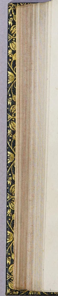 An illustration from Nuoui auisi dell'Indie di Portogallo, riceuuti dalli reuerendi padri della Compagnia di Giesu,, 1562, leaf 344