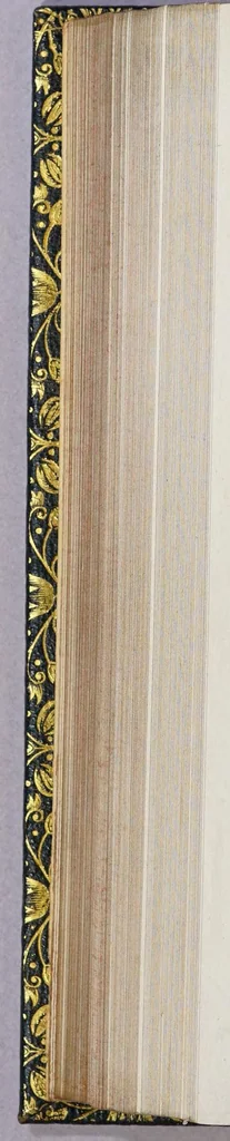 An illustration from Nuoui auisi dell'Indie di Portogallo, riceuuti dalli reuerendi padri della Compagnia di Giesu,, 1562, leaf 476