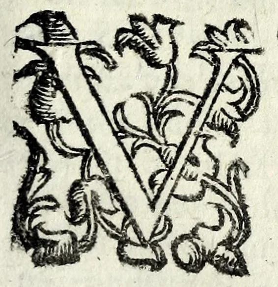 An illustration from Nuouo itinerario delle poste per tutto il mondo, 1611, leaf 37