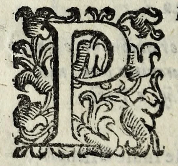 An illustration from Nuouo itinerario delle poste per tutto il mondo, 1611, leaf 376