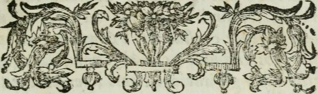 An illustration from Nuova descrizione del Vaticano, o sia, della sacrosanta basilica di S. Pietro, 1762, leaf 14